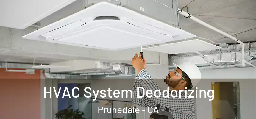  HVAC System Deodorizing Prunedale - CA
