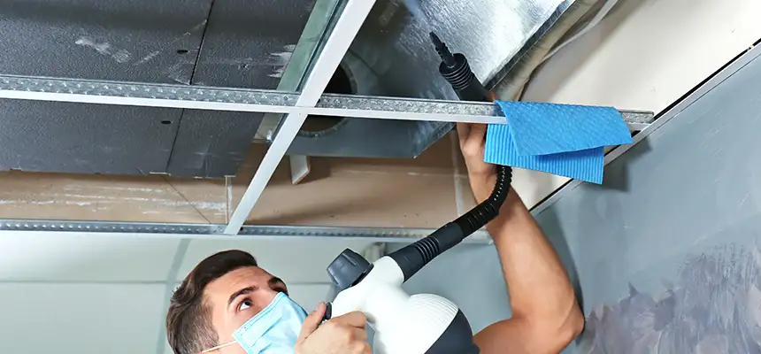 Our Air Duct Rodent Removal Services in Prunedale, CA