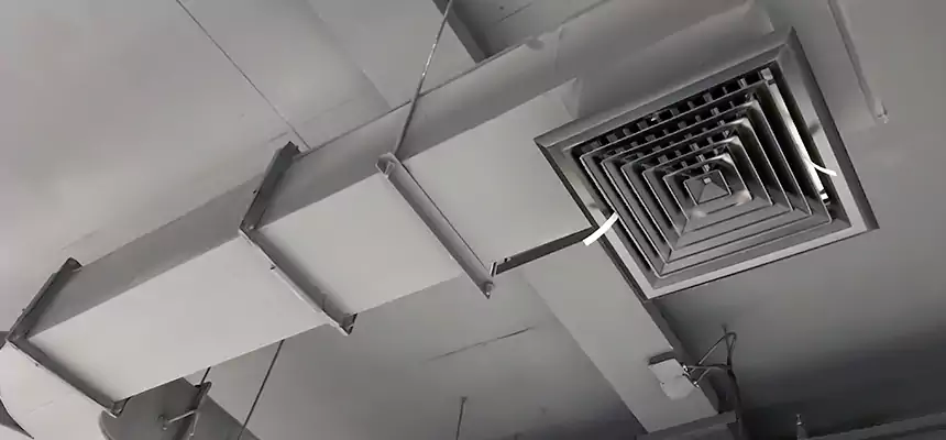 Restorative Allergy Relief Vent Cleaning – Coil, Blower & Housing Detail in Prunedale