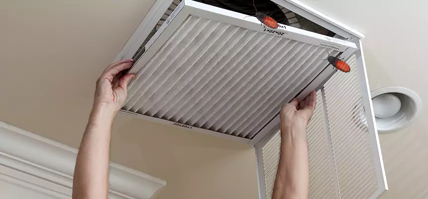 Our Insect Removal from Air Ducts Services in Prunedale, CA