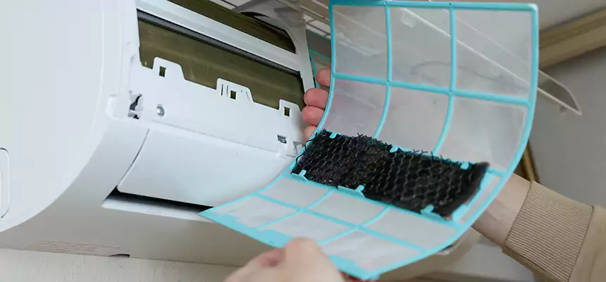 Gentle Ductwork Odor-Control Pet Dander Duct Cleaning in Prunedale, CA