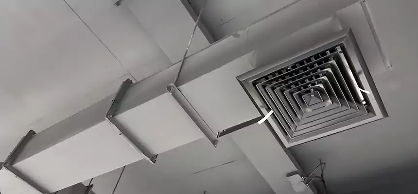 Our Rodent Droppings In Vents Services in Prunedale, CA