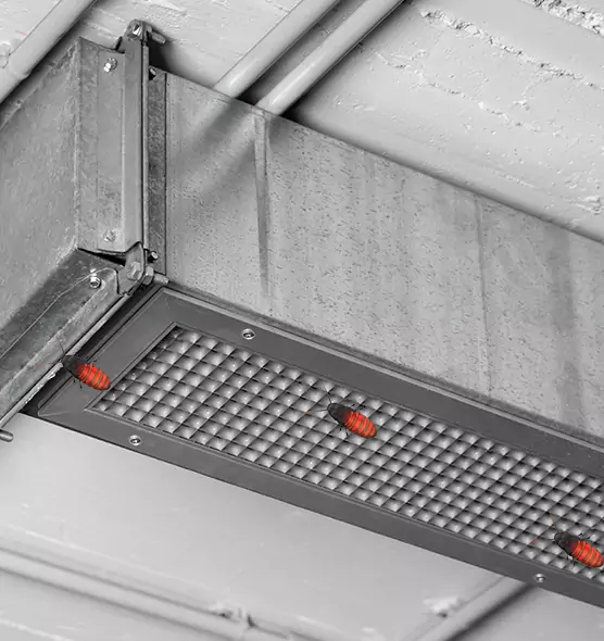 About Air Duct Cockroach Removal in Prunedale, CA