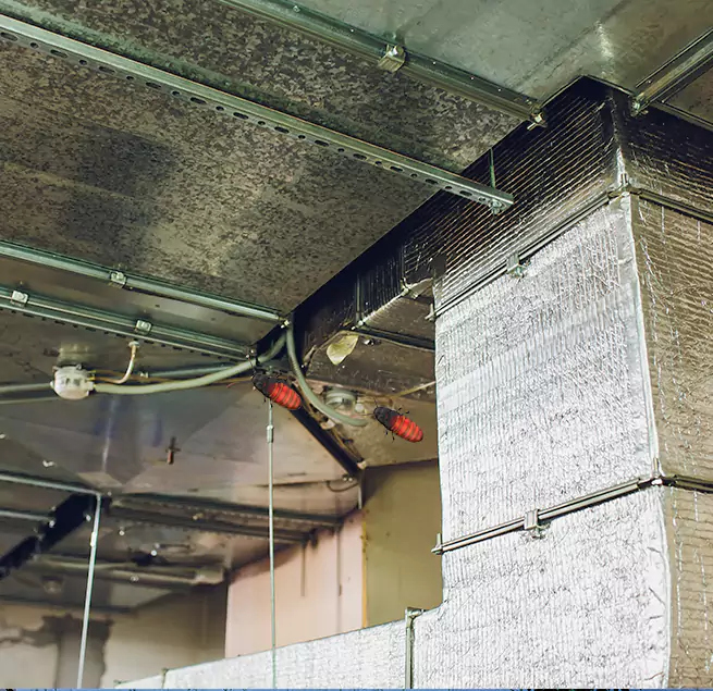 Why Homeowners & Businesses Trust Us in Prunedale, CA?