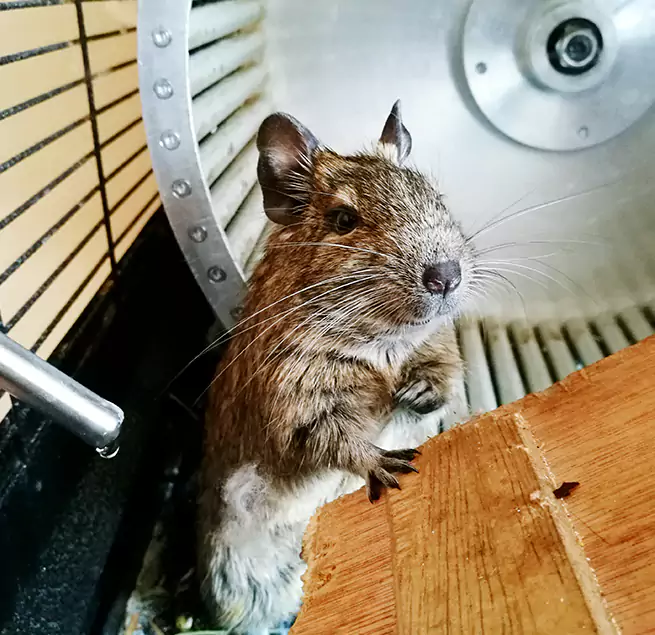 Why Homeowners & Businesses Trust Us Prunedale, CA?