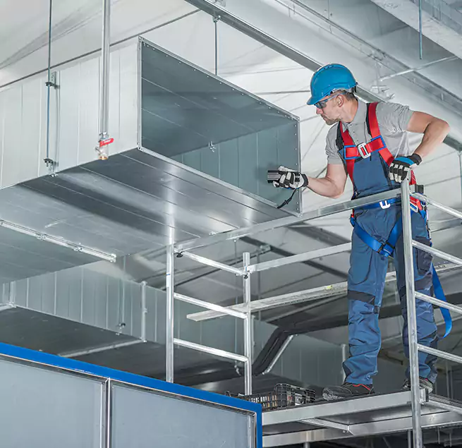 Why Homeowners & Businesses Trust Us in Prunedale, CA?