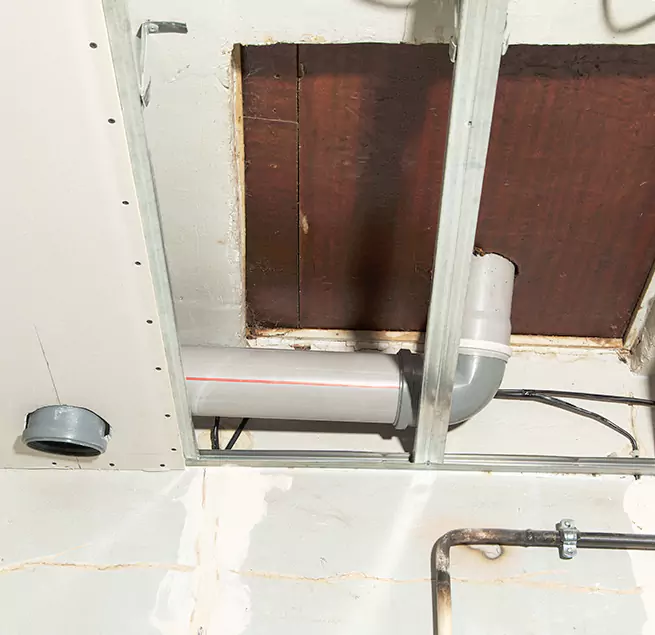 Why Homeowners & Businesses Trust Us in Prunedale, CA?