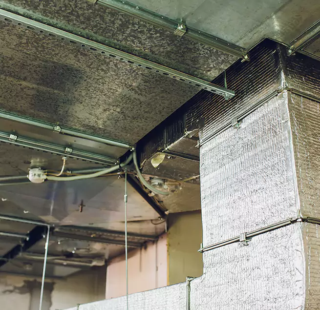 Why Homeowners & Businesses Trust Us in Prunedale, CA?