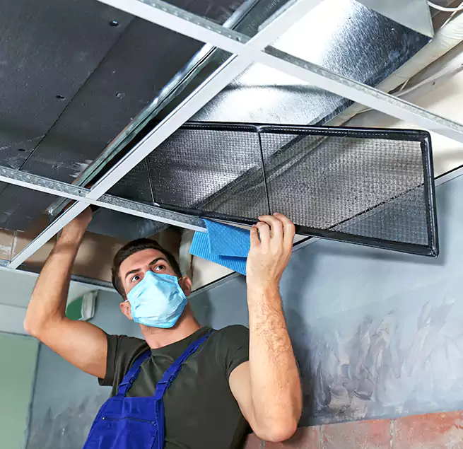 Why Homeowners Businesses Trust Us in Prunedale, CA