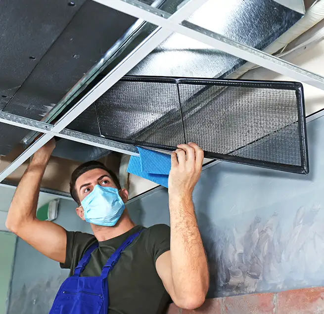 Why Homeowners & Businesses Trust Us in Prunedale, CA?